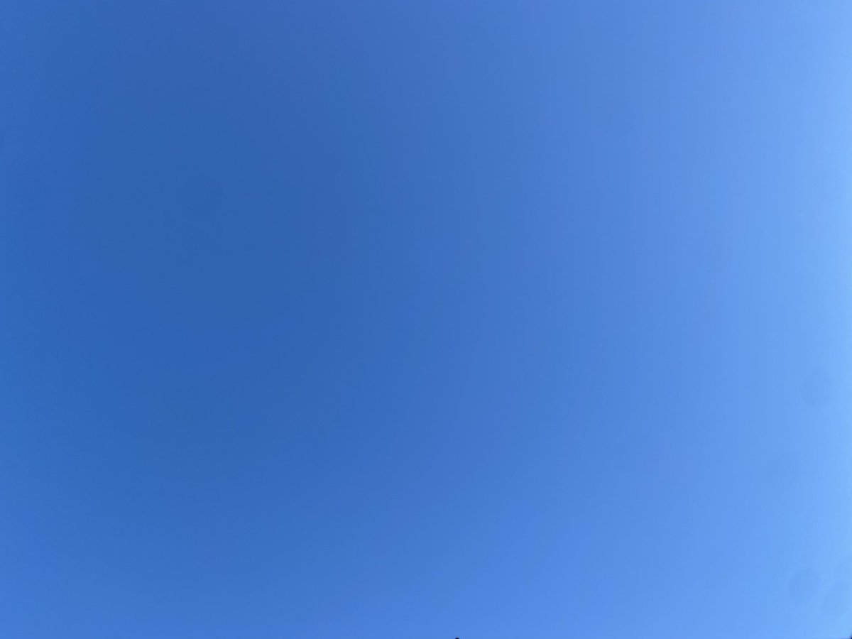 marumarurunning's tweet photo. 157日目☀️

超楽ジョグ🏃

朝日を浴びてスッキリ!

今日も楽しくがんばるぞー!

 #ランニング記録  #朝ラン  #健康資産 https://t.co/4G863JfmiQ