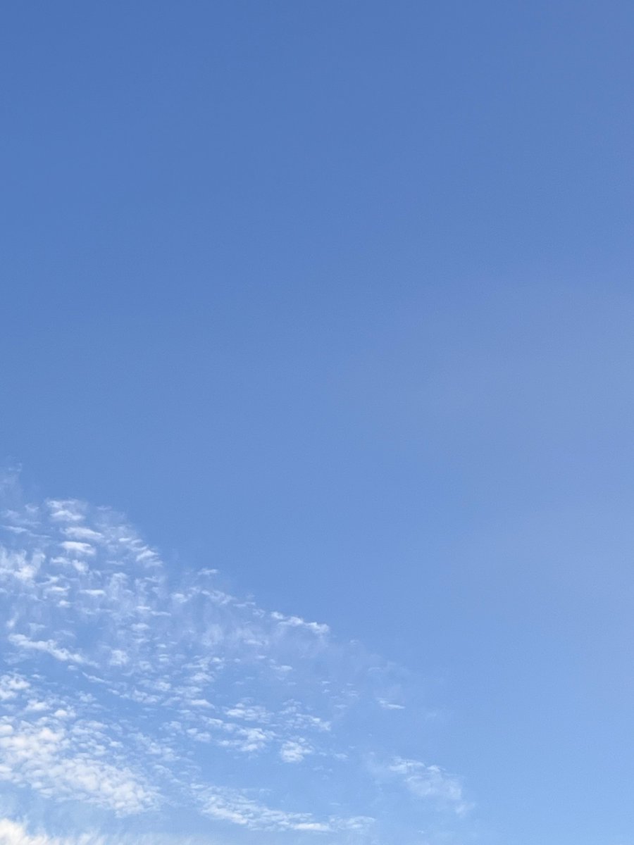 CyTech_engineer's tweet photo. おはサイテック！
東京の天気は☀️
昼間に気温が上がるみたいですね🌱
この時期は服装が難しいです、、
ではでは、
本日もよろしくお願いいたします☺️

#企業公式が毎朝地元の天気を言い合う
#企業公式さんと繋がりたい
#企業公式相互フォロー
#企業公式秋のフォロー祭り https://t.co/hVKuh7psn5