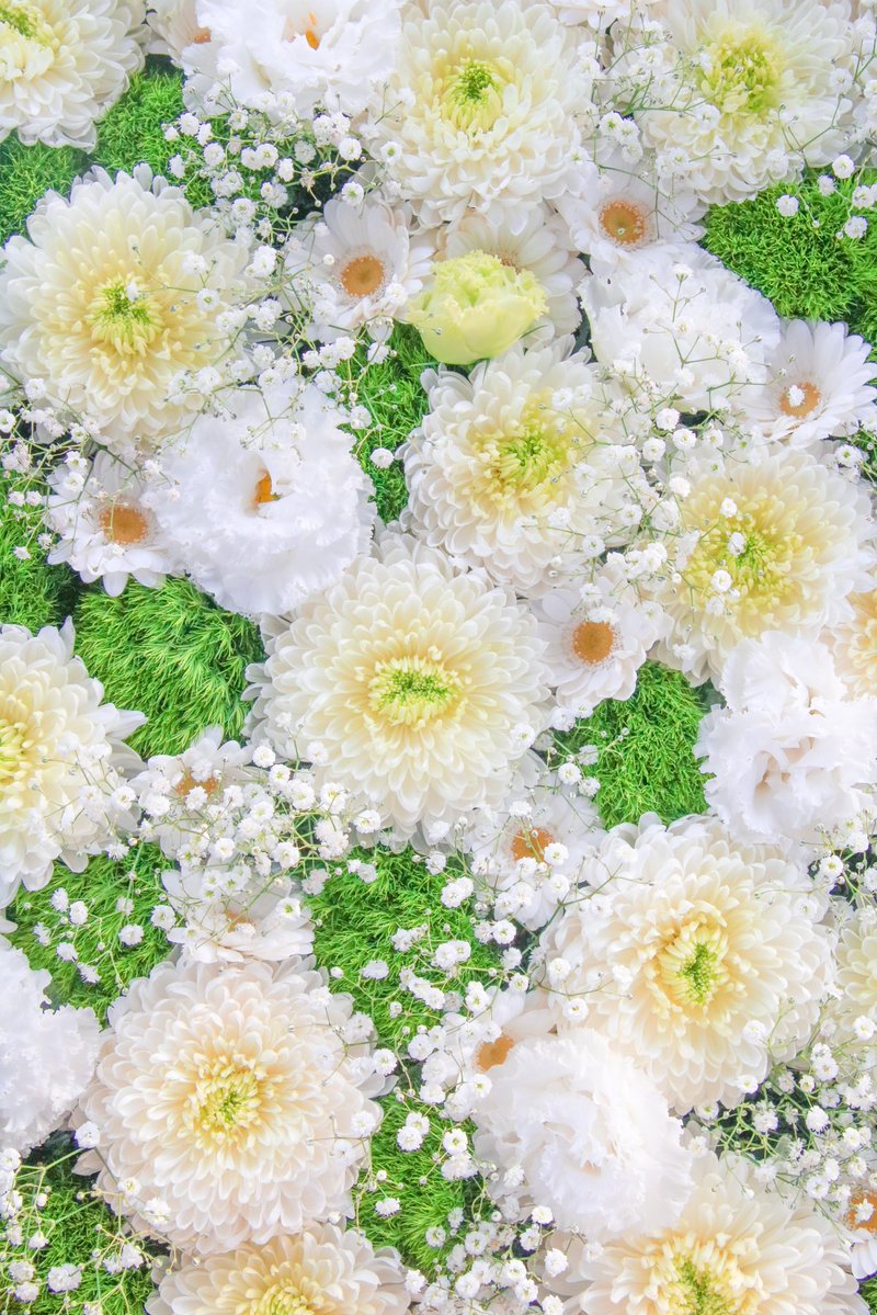 66___boc's tweet photo. いつも心に花束を💐 https://t.co/dSV6emtzmb