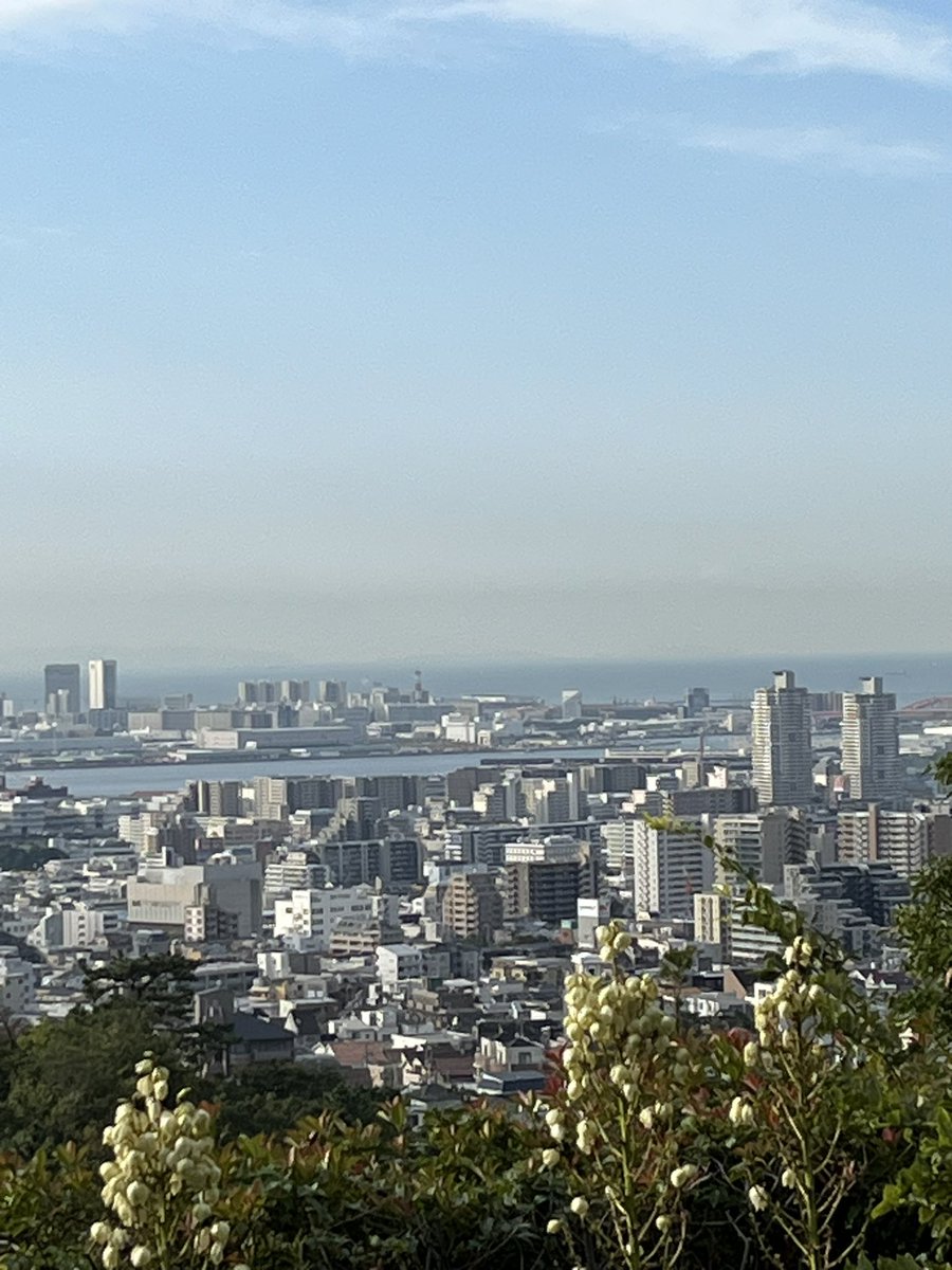 bondo173's tweet photo. おはようございます☀️

神戸は良い天気です。

🐯さん

緊急事態ですね…

怪我が大した事ない事を祈ります🙏

遥人は良く投げましたよ👏

苦戦は覚悟の上なので最後まで応援します
📣

今日は病院🏥

面倒くさいけれど3時間の点滴頑張りまーす😅

さあ行こう👍 https://t.co/FHXTTTotOM