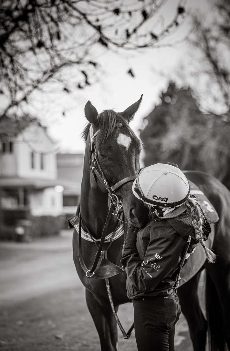 cwallerracing's tweet photo. The quiet moments behind the scenes. 

A glimpse into life around the stables, where the work starts long before race day. 

FT Joliestar, Autumn Glow, Soul Of Spain &amp; Beiwacht https://t.co/J2RzxBvNn3