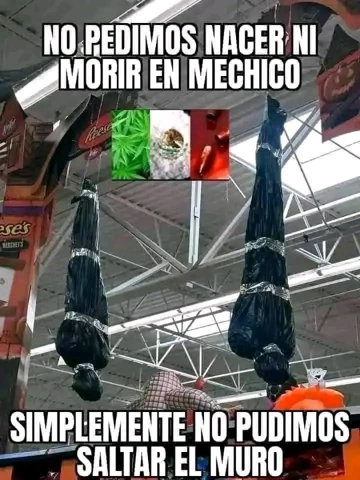 gustavolodg's tweet photo. @ElonMidEsCpero Mexichango? Mis más sentidas condolencias por nacer en ese estado fallido 🙏 https://t.co/qwZabw5F55