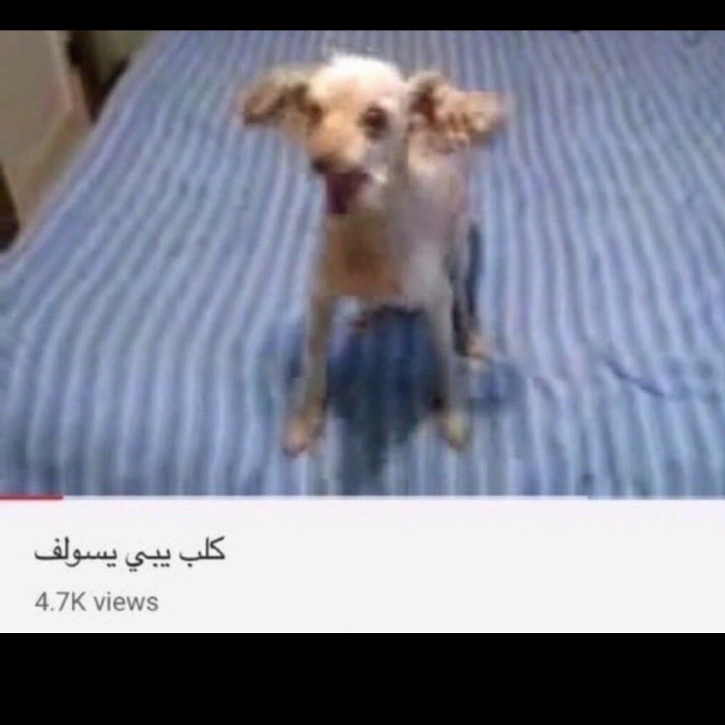 Al2hiaA's tweet photo. @MBZx_1971 https://t.co/ByekAn7Wmc