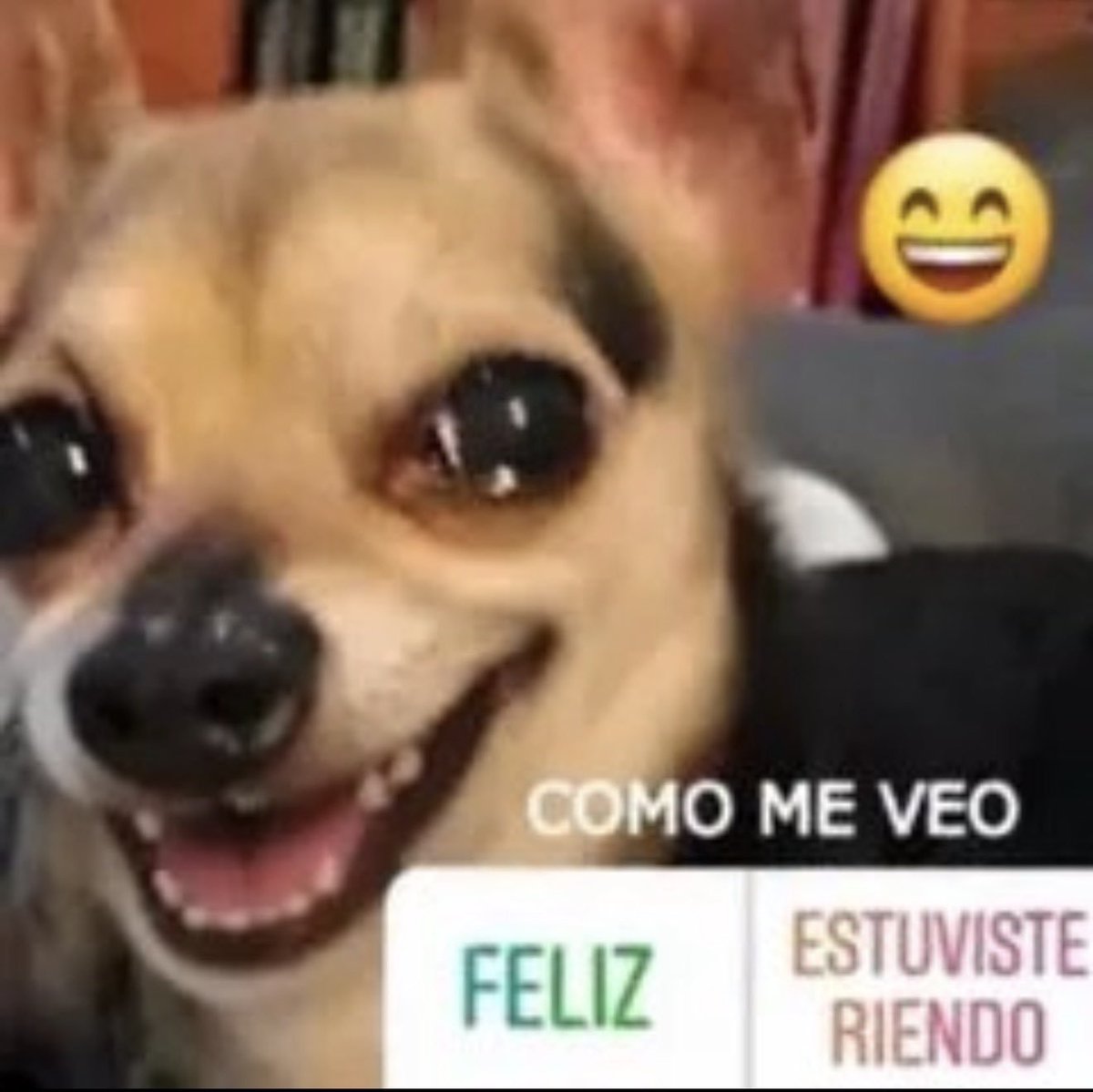 DulceSol52435's tweet photo. @vkfvr 7 bebé JALRLWPDPSOSISLSKD https://t.co/eL2YdAakXI