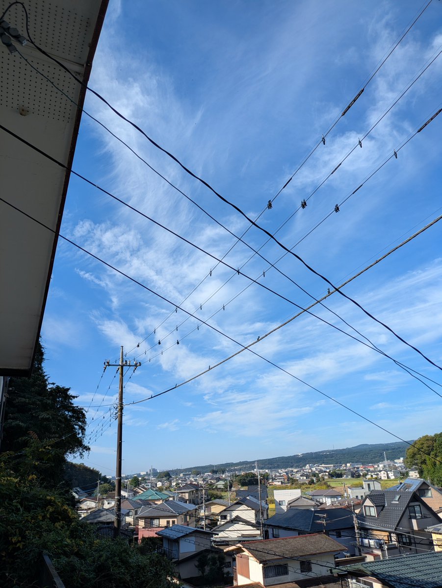 cheebow0150's tweet photo. おはようございます！
今日は体育祭応援に行ってきます。

いいお天気だーー☀

今しかできない機会、この瞬間を思いきり楽しんで！ https://t.co/bgswVnwtfe