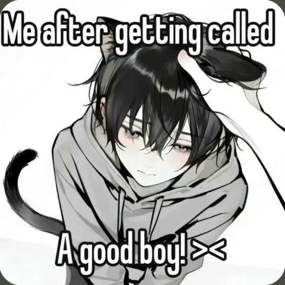 Your_lovely_pet's tweet photo. I'm weak when it comes to praise
When you praise me, I lose my composure

   #mommy #goodboy https://t.co/4zM5Ox9zDe