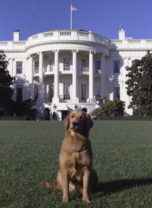 Debbie32733441's tweet photo. @RobFinnertyUSA Finnerty, Really looking forward to you interview with the President tonight. 🇺🇸🇺🇸🇺🇸🇺🇸 https://t.co/meiwwvqLR4
