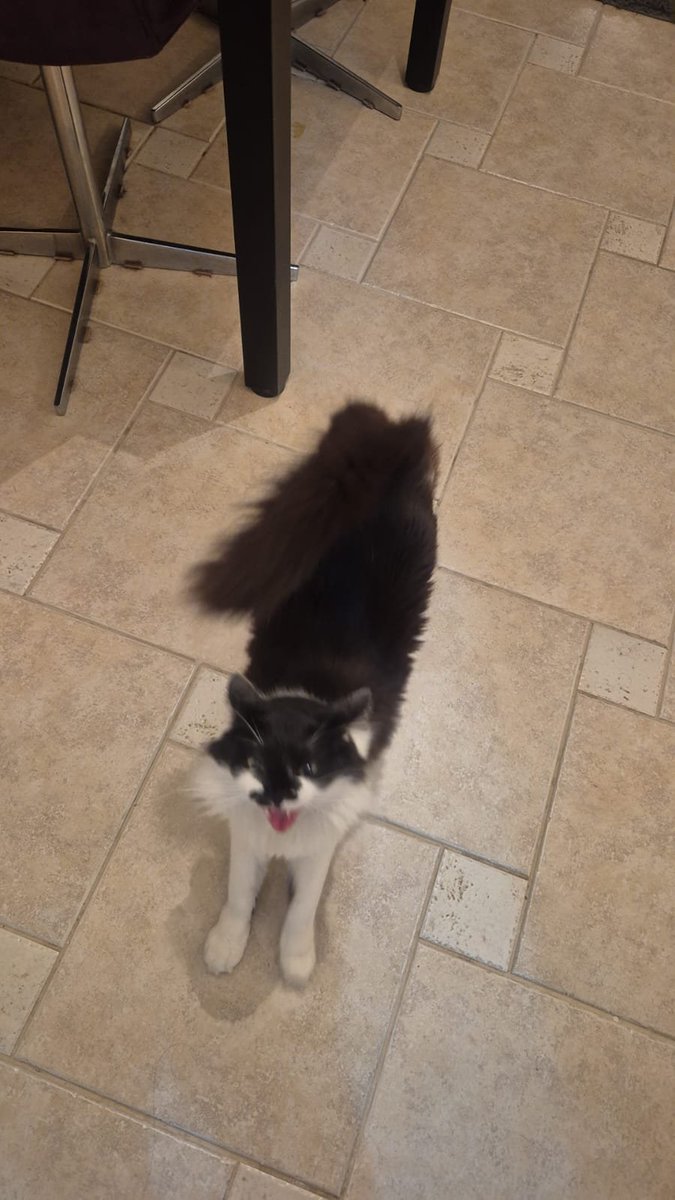 lisnfrog's tweet photo. Her name is Adora https://t.co/twJTeqvgb7
