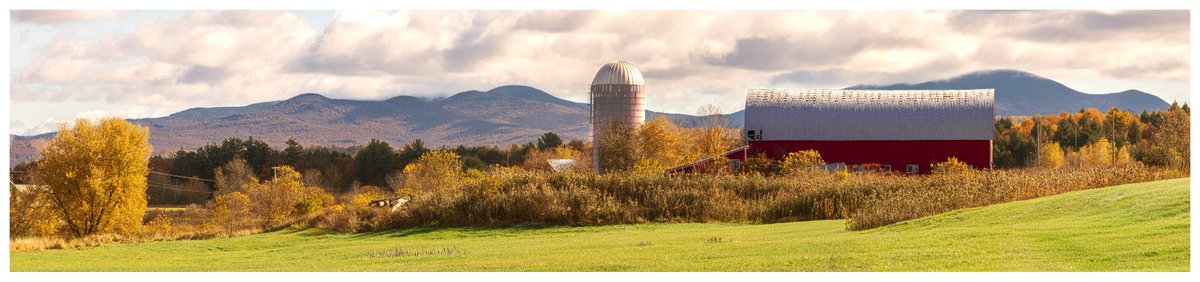 NSSPhotog's tweet photo. Big-Ag. | Canon EOS R5 • RF 85mm ƒ/1.2L USM                              

[1/160s | ƒ/16.0 | ISO: 200]        

https://t.co/dihoLxVvIh https://t.co/B0cA9uIiDe