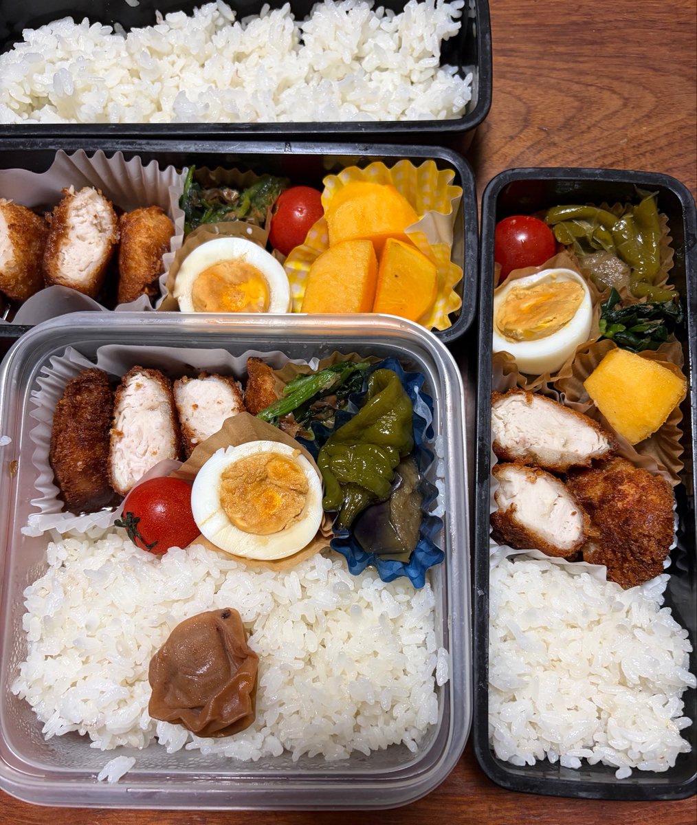 h1s3z5's tweet photo. 今日のお弁当
・ささみカツ
・揚げナスとシシトウの煮浸し
・ほうれん草のおひたし
・ゆで卵　🍅
・柿
・ごはん
#ごちゃごちゃ弁当 https://t.co/qFDsF63nvi