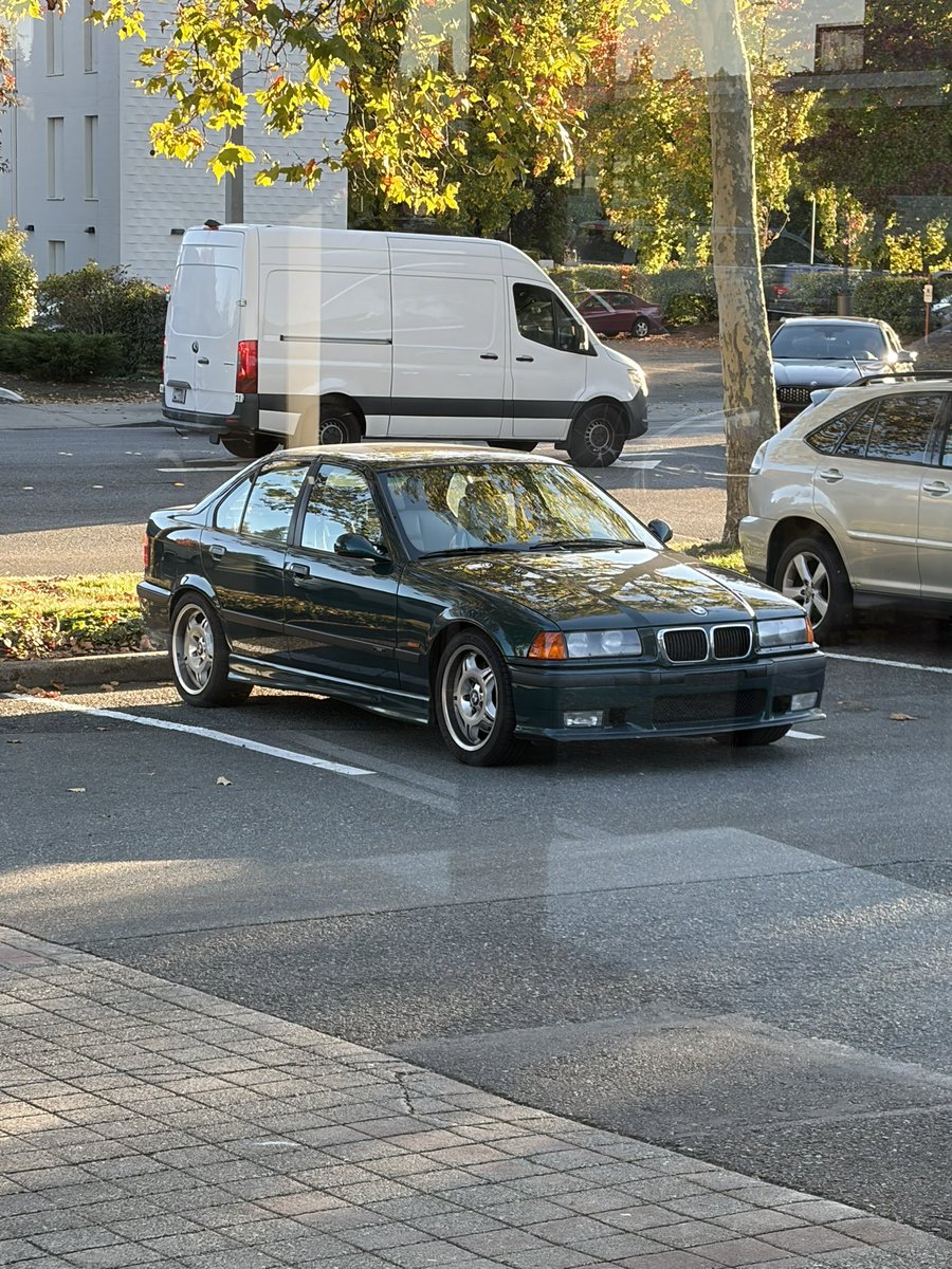 podz_kk's tweet photo. sitting pretty https://t.co/Hl1jBs6GZE