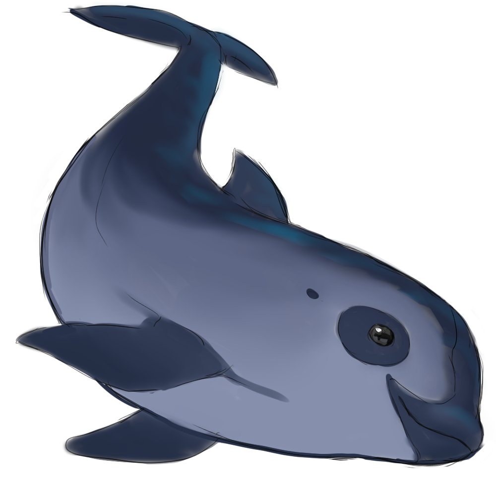 AltabeStudio's tweet photo. My Vaquita drawings for you to use for your piece if it's not your normal thing to draw.  More resources to use here, All the arts in the resource folder are CC-0, Creative Commons license and just attribution required, thank you!: https://t.co/JwE4GQVATe
https://t.co/UYjIU4oRTy https://t.co/41n3jBW7Xj