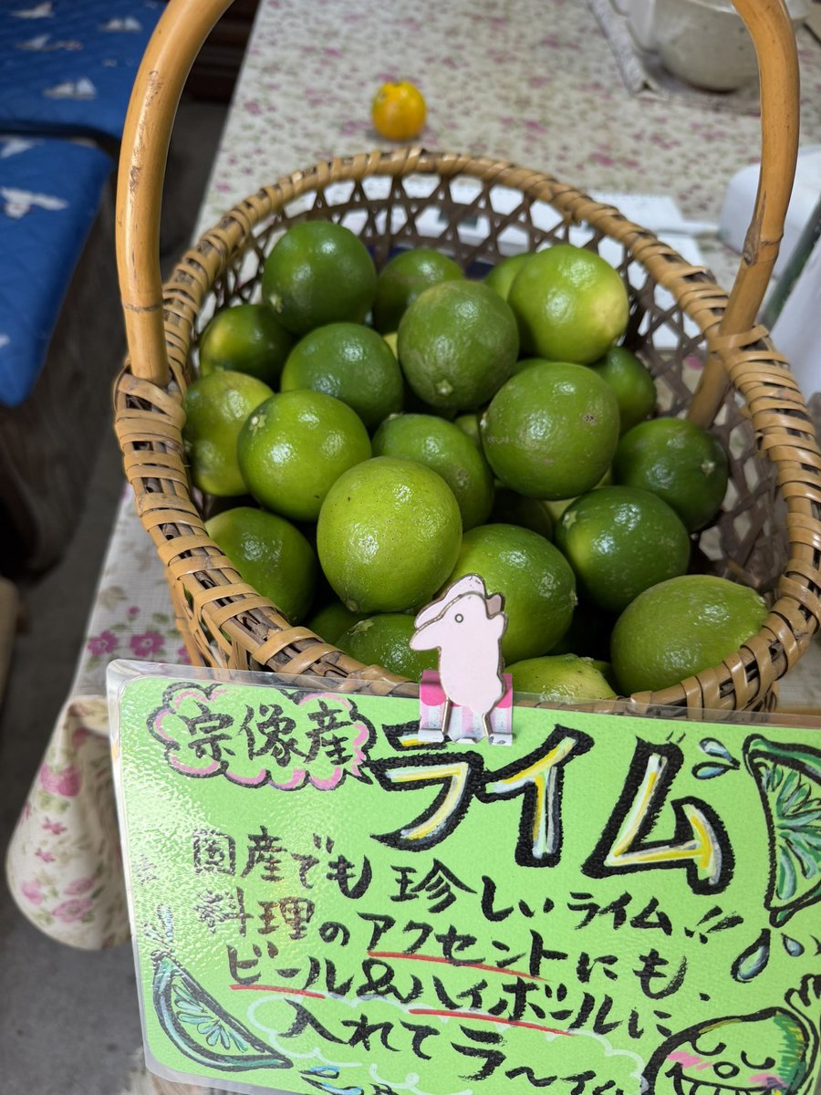 flairnuts's tweet photo. 川上農園のライム畑へ。

極力、防腐剤や除草剤に頼らず育てられた、貴重な国産ライムに出逢いました。

土地の恵みと、生産者の想い。
至高のカクテルが生まれる。 https://t.co/yTUJEWbzR9