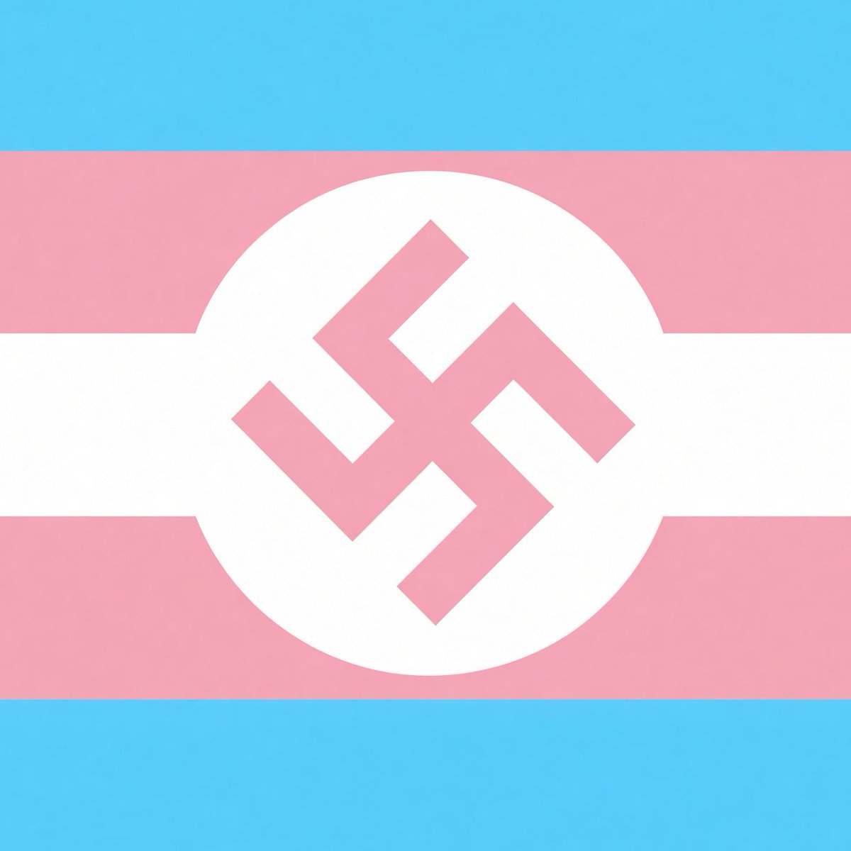 republiqueBRA's tweet photo. ⚖️ 🏳️‍⚧️ Juiz decide que jovem trans de 19 anos, apontado como neonazista e acusado de planejar um ataque racista a um templo hindu nos arredores de Chicago, nos EUA, receberá injeções hormonais na prisão enquanto aguarda julgamento. https://t.co/b9CDx1Z1JH