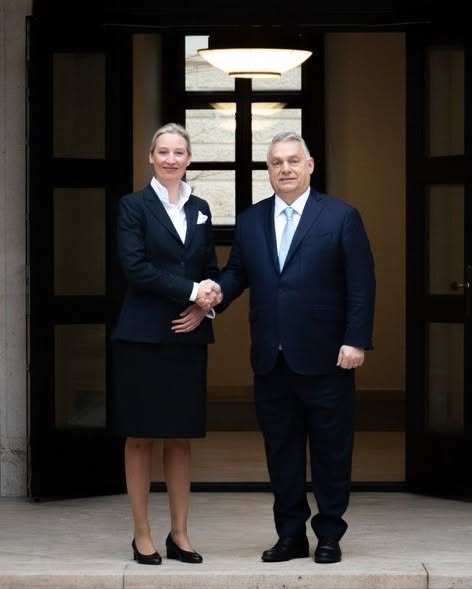 ZeekDavid84's tweet photo. @Bede_Zsolti Ő is nyiltan meleg. Ráadásul 2 gyereket nevel. Szóval akkor van a rossz buzi meg a jó buzi. Jah, és a partnere bevándorló.... Mégis pacsizott Viktorral és mindenki imádja. https://t.co/JW8gLYvW4g