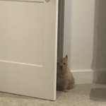 Photo by Bbq 🧙🏻‍♀️ (@MidsandreMogger)