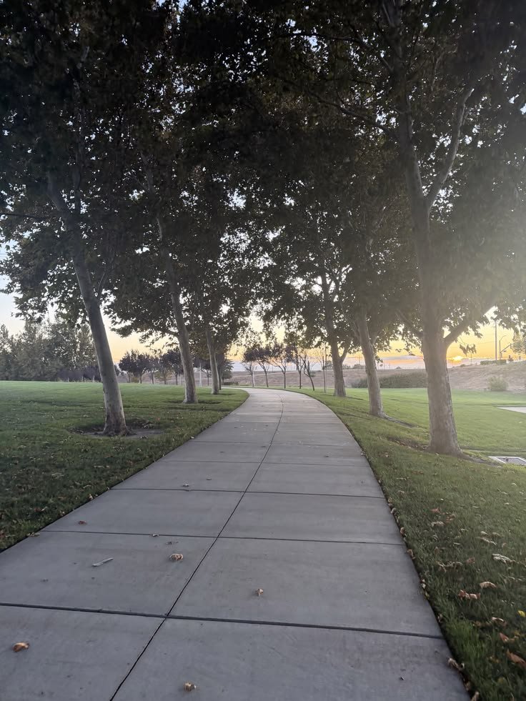 itsBilal's tweet photo. Good morning 🏃🌞🌳 

Early morning walks have their own kind of beauty, just enjoying the fresh air and quiet surroundings! https://t.co/UzSlpJtHyg