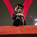 Photo by Tycho / Arush (@wereNwolf)