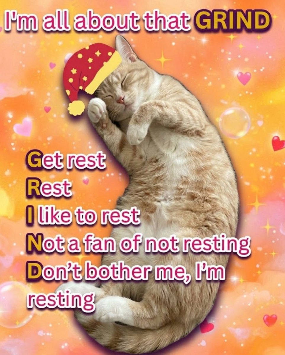 Meowversetwt's tweet photo. https://t.co/sSIO4oBxM3