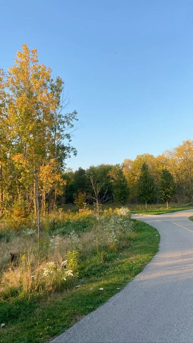 itsBilal's tweet photo. Good morning! 🍂✨

The golden sunrise and colorful autumn trees are making this morning so beautiful 🍁☀️ https://t.co/ZpCGBAAHAv