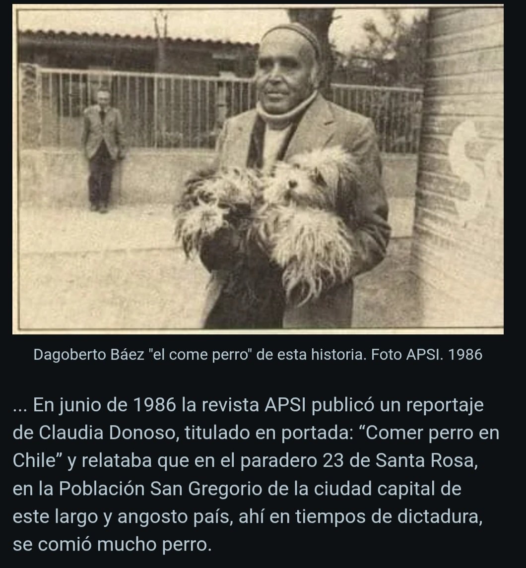 gustavolodg's tweet photo. @kidofcydonia @estj_dxrk @jenigim1 @juanitokzzi @kidofcydonia a ustedes los chilenos siempre se les conoció como los come perros, por qué finges sorpresa? 🤣🤣 https://t.co/NY4fRVL7Tf