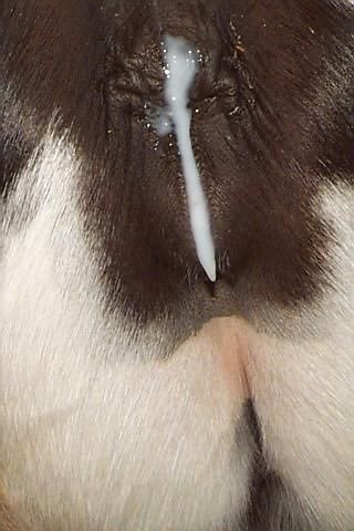 zoomattel's tweet photo. Link on my bio 💦💦 https://t.co/bhbXuvzHmA