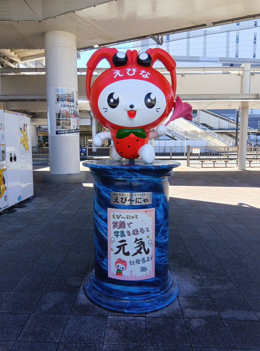 tabite_h's tweet photo. えび〜にゃ、いた。 https://t.co/Zxl6qD5RcD