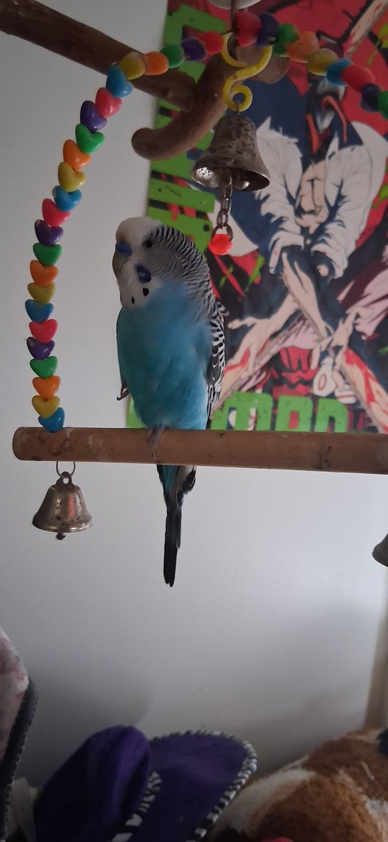 Meeeeeeosm's tweet photo. Standing on one foot https://t.co/SvBOW77dVA
