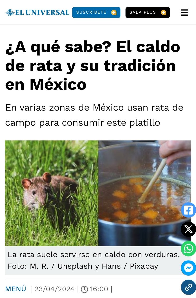 gustavolodg's tweet photo. @juanitokzzi @kidofcydonia @estj_dxrk @jenigim1 @juanitokzzi changuito incivilizado, por qué se tragan a las ratas de las alcantarillas? https://t.co/UFOSDFYSab
