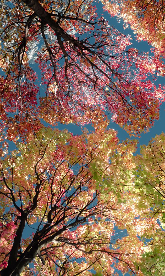 LilyYou19843343 tweet picture