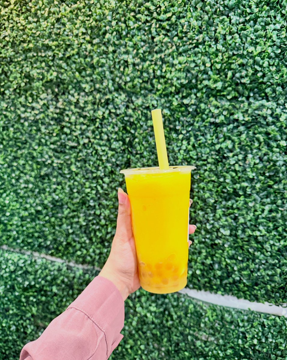 Bamaman13's tweet photo. A cup full of pure joy https://t.co/MH0Fu4w4lY