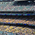 Photo by J. Mangual (@MLBShotsFired)