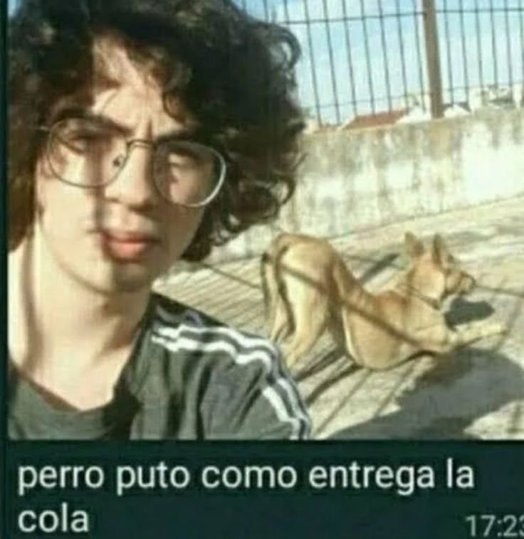 saskexe's tweet photo. yo con el perrito de mateo https://t.co/Yzlz1sZjIY