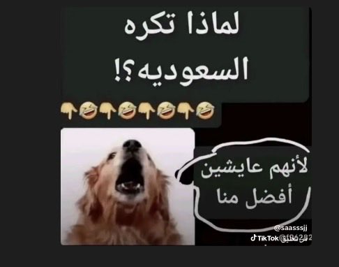 i3dgm's tweet photo. @abo_ali9189 طيب خذا يااامدعيين الاسلام والاخلاق يا مخلفات ايران وغسالين اقدامهم يا بقايا الاستعمار  يا صهاينة العرب https://t.co/k8uJuyfikX