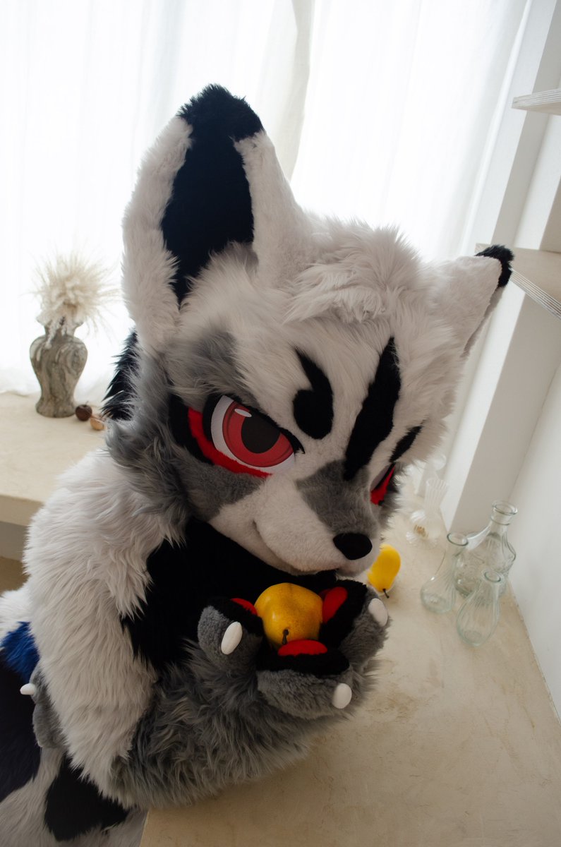 Fenrang_owner's tweet photo. 🐺 : 오늘 아침은 어떤걸로 먹을까??

📸 : @imu_0628 

#Fursuit
#FursuitFriday https://t.co/MM20J3VS9s