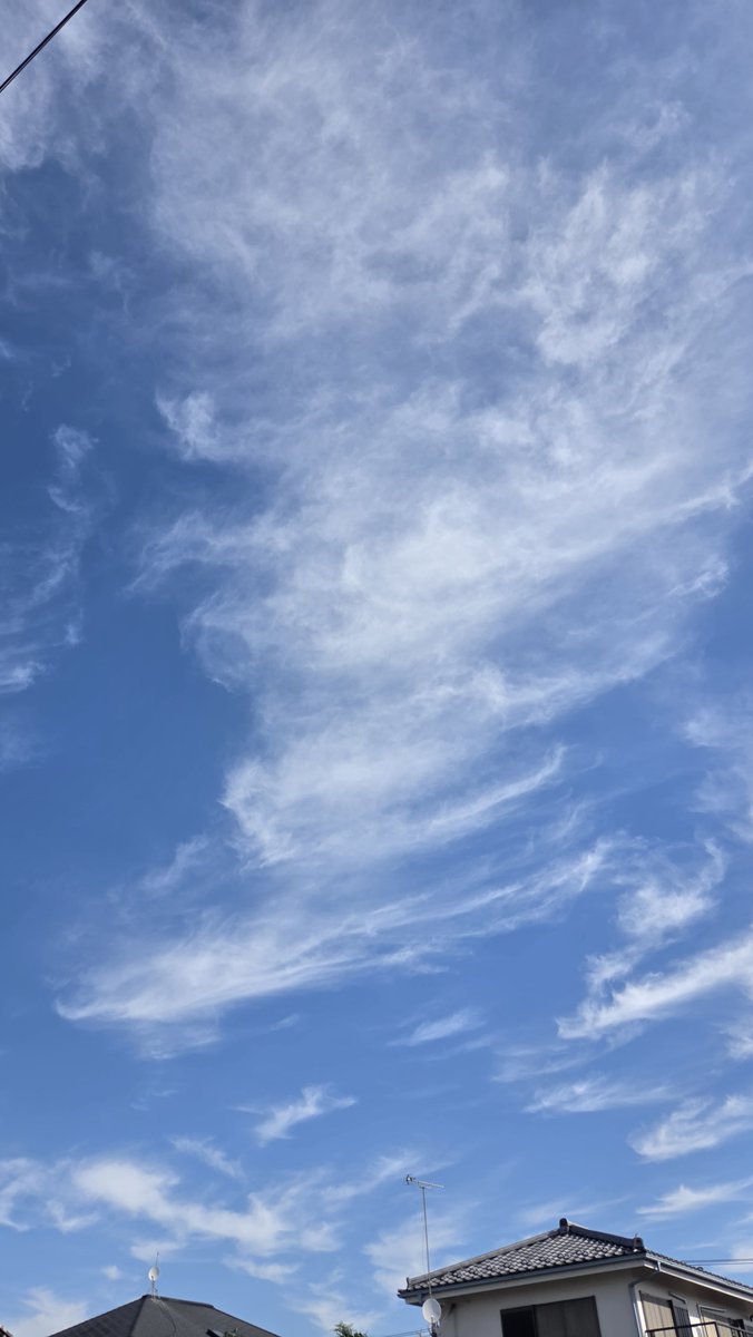 krs2009mk's tweet photo. 毎日天気が良くて嬉しい。
天気がいいだけで気分も上がるね。 https://t.co/ImdtPIvBJD