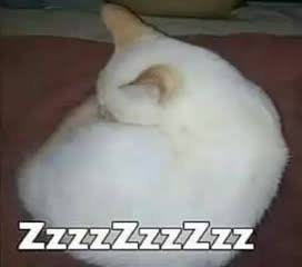 Mark48419030's tweet photo. @_seber0 Literal si cuando salio mizuki nacio muerta y ahora que le dan buffs ya es una reina por ser F2P XD
La gente exagera mucho estas cosas https://t.co/qF74v7rIR4