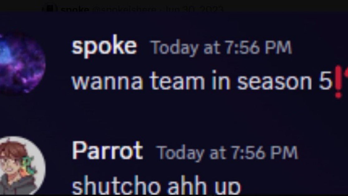 phiasverynormal's tweet photo. summary of the new parrot upload: https://t.co/hBWY8KwDOa