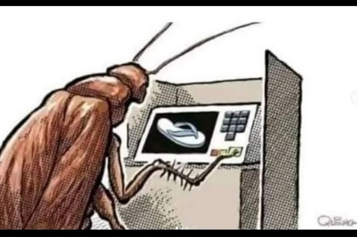 fckninhah's tweet photo. Eleições 2026 https://t.co/vSrZyr4abN
