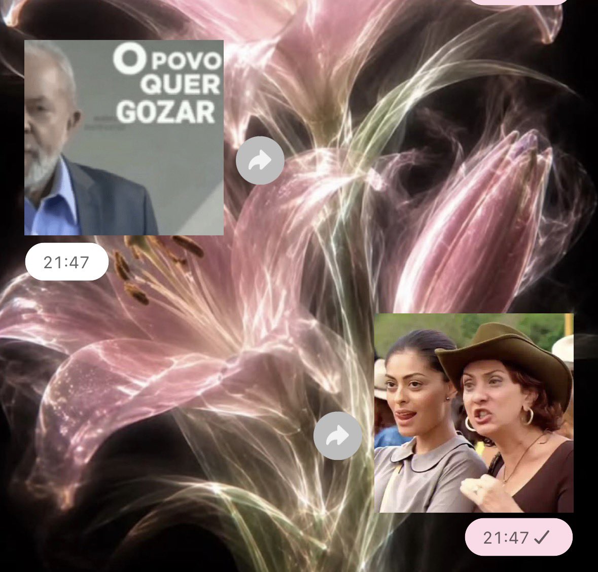 angelllsm's tweet photo. lula presidenteeeeeeeeee https://t.co/fpeIhZdf4J