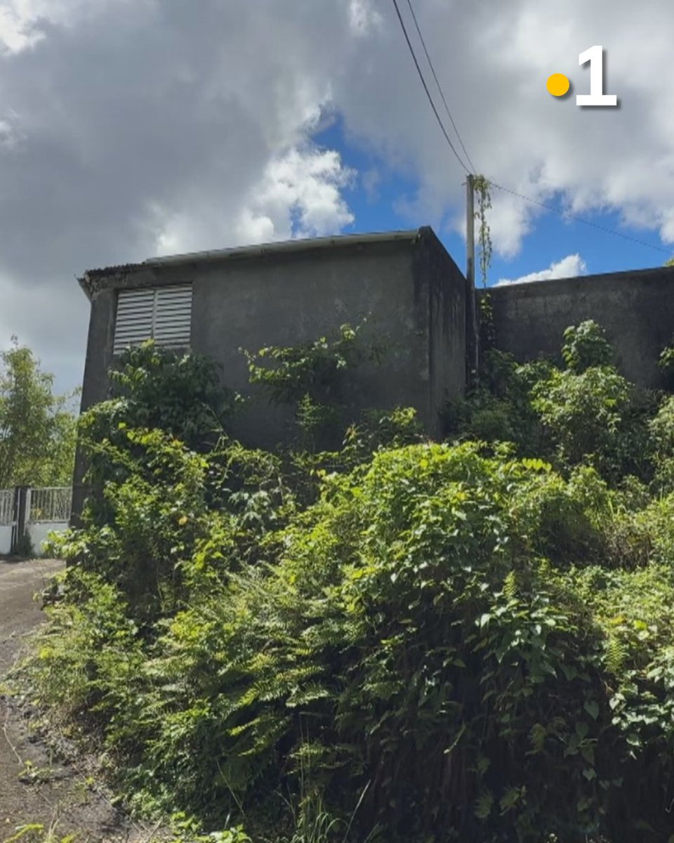 guadeloupela1e tweet picture