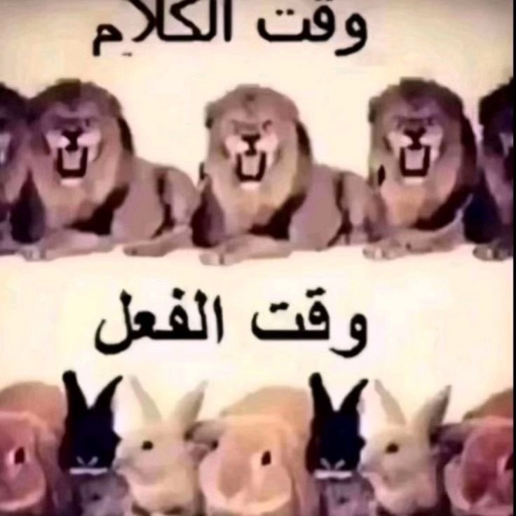 actuallydazairl's tweet photo. العمانيين هم ونتهم الي يشتغل عشره دقايق بالساعه https://t.co/REA6Kew0H8