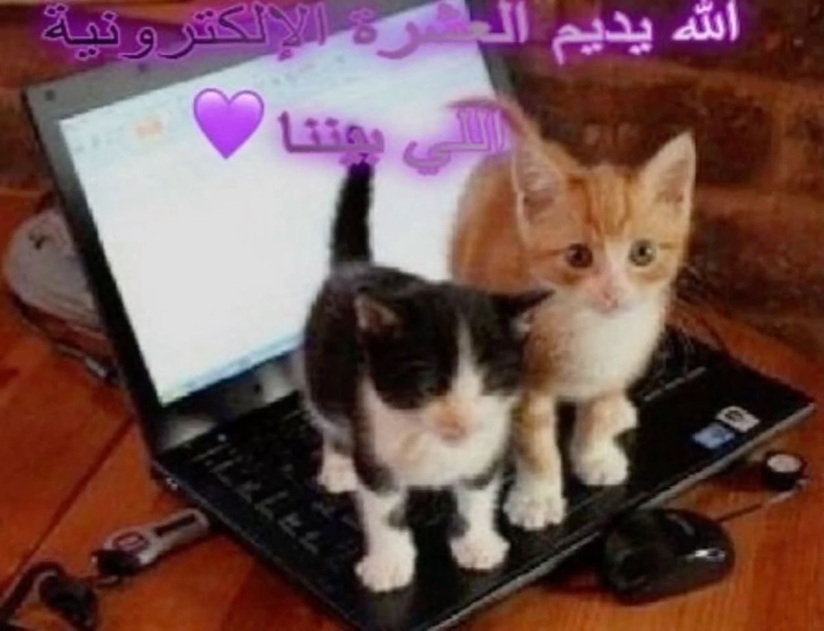 vilotpa's tweet photo. حنا والكويت https://t.co/Hjsgb8V7qP
