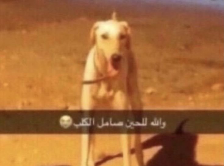 1inu7o's tweet photo. @salllhhw لا تحاول يازباله ندري انك مو سعودي https://t.co/lhZn4PiJB4