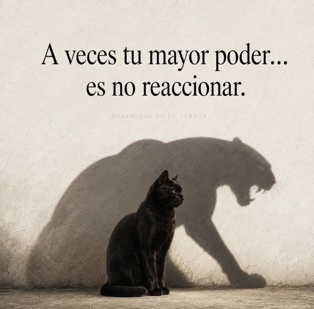 RicardoMoreD's tweet photo. https://t.co/nGBf15T8GL