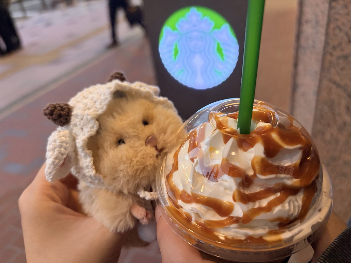 norimimi33's tweet photo. 🐹「ハムスターバックス‼️‼️‼️‼️なんつって‼️WWWWWW」

 #はむにぎり #はむにぎりのいる暮らし https://t.co/6IGJ9pDs3N