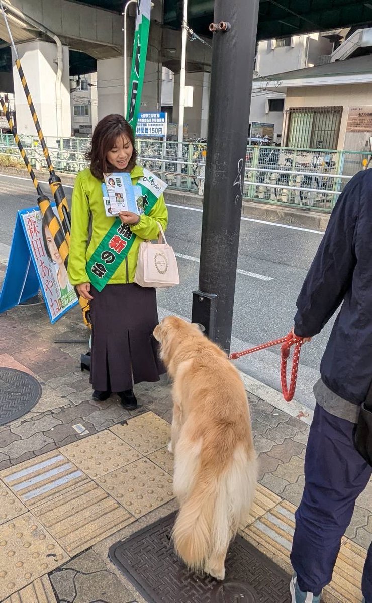 Todoke4Minna2's tweet photo. 今朝は深江橋でご挨拶をさせて頂きました😊
本日は知事質問のため府庁へ。その後は事務所でミーティング、続いて熊野大神宮のお祭りへ伺います✨

夜は民踊部の皆さんとの合同練習もあり、21時過ぎまで予定が詰まっています！

今日も一つひとつの活動を大切に、元気に頑張ります😊
#維新 #森田あやね https://t.co/bjl8VvLU9g
