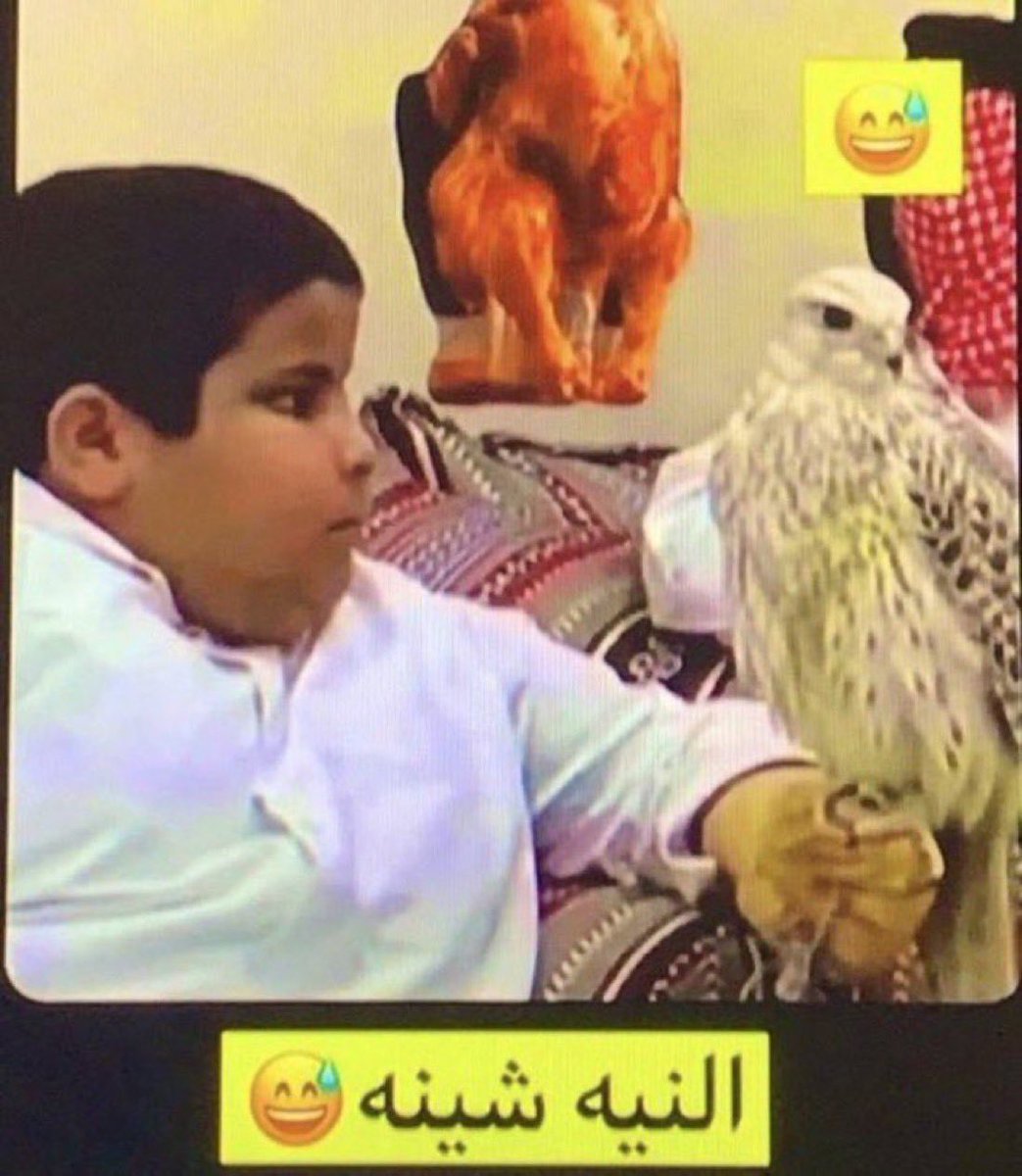 MAlbumut's tweet photo. الله يستر لاتاكله https://t.co/AqoFhH2JdQ