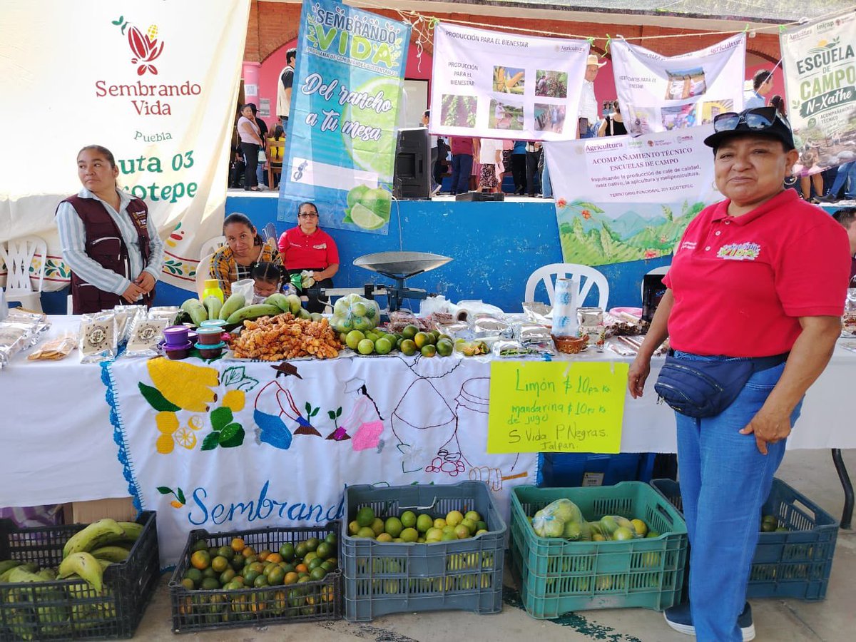 AgriculturaPue's tweet photo. En Pantepec, participamos en la Caravana para la Mujer en la Propiedad Social, brindando atención a 60 personas e información sobre Fertilizantes para el Bienestar, Producción para el Bienestar, ECAs y créditos de COSOB, con apoyo del DDR Huauchinango y técnicos de campo. https://t.co/CstMtWhNUa