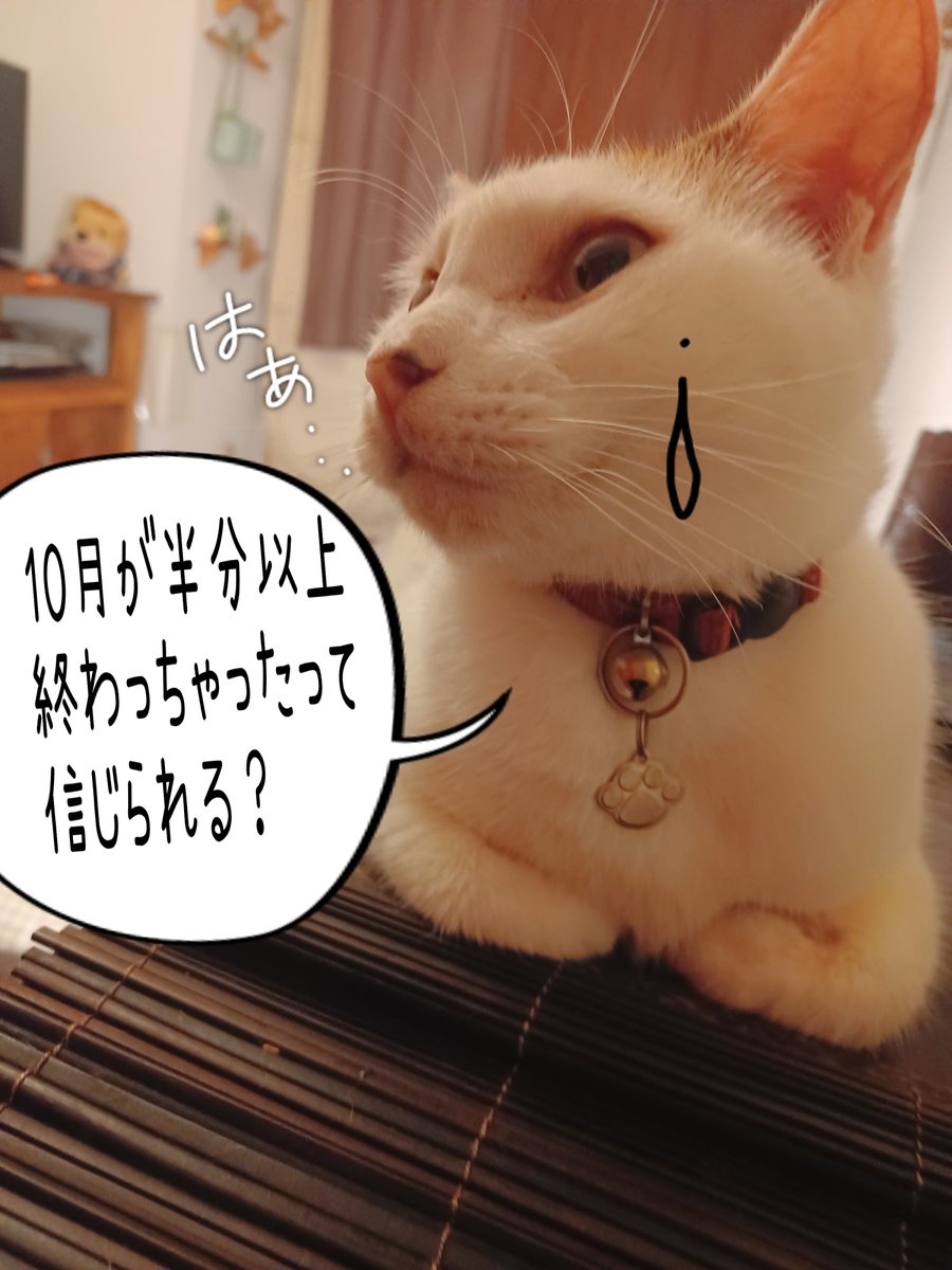 rioriojyaneiro's tweet photo. おはりおございます⛅️
起きがけに足がつって
朝の挨拶忘れてましたよ～😅
あっという間に金曜日
 #金曜日はカレーの日
美味しく楽しく過ごしましょう！ https://t.co/7MzwULKGUN